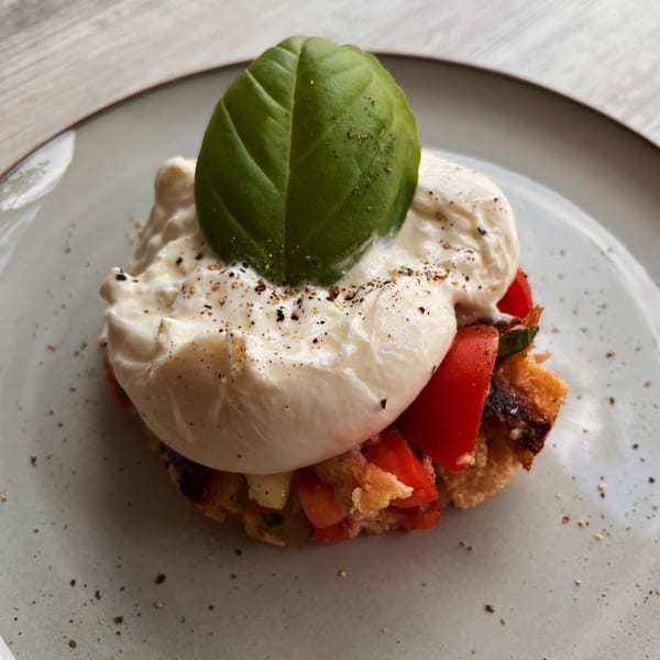 Italian bruschetta topped with creamy burrata, fresh basil, diced tomatoes, and black pepper.